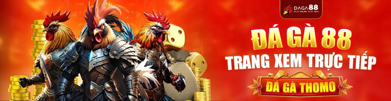 Đội ngũ SP88 Win đang làm việc trong môi trường hiện đại